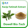 Factory supply natural top quality female Kacip Fatimah Extract 5:1,10:1